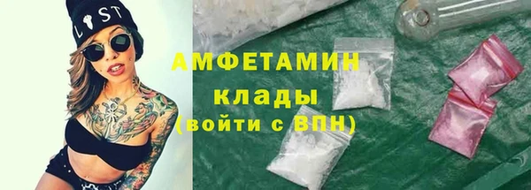 мдпв Козельск