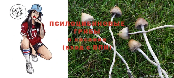 mdpv Кодинск
