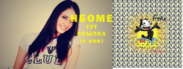 СК Коряжма